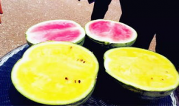 各种普通人吃瓜爆料,普通人视角下的明星八卦风云